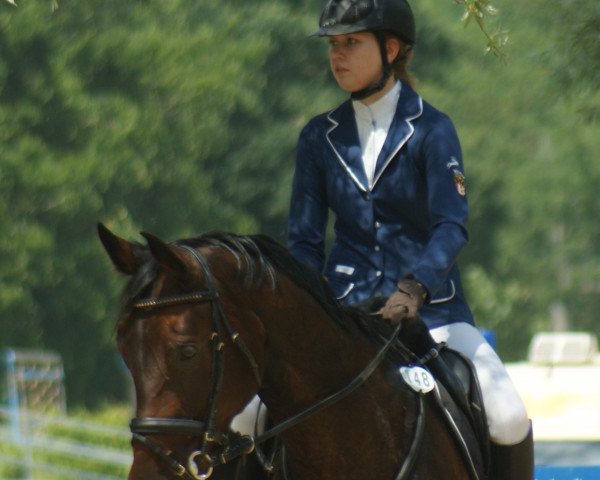 jumper Colina V (Westphalian, 2004, from Collin L)