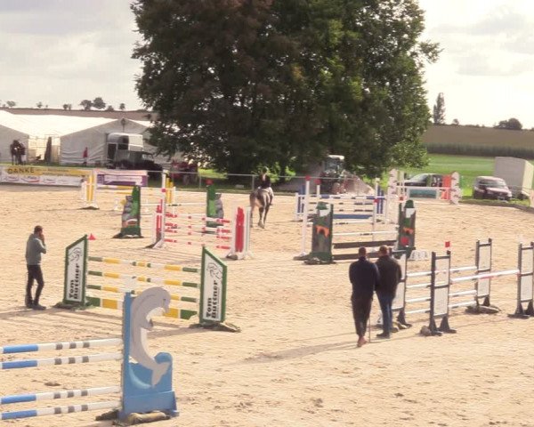 Springreitturnier Hohburg 2021