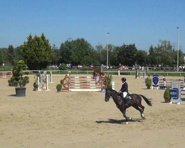 Reitturnier Bornheim-Widdig 2021