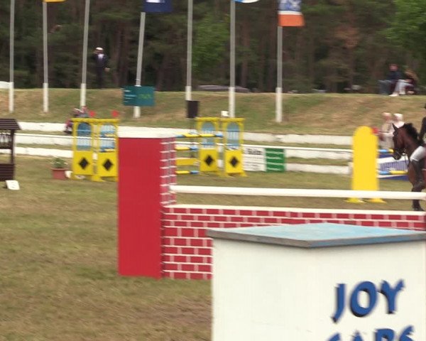Reitturnier Wörmlitz 2021