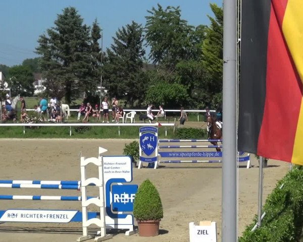 Reitturnier Bornheim-Widdig 2021