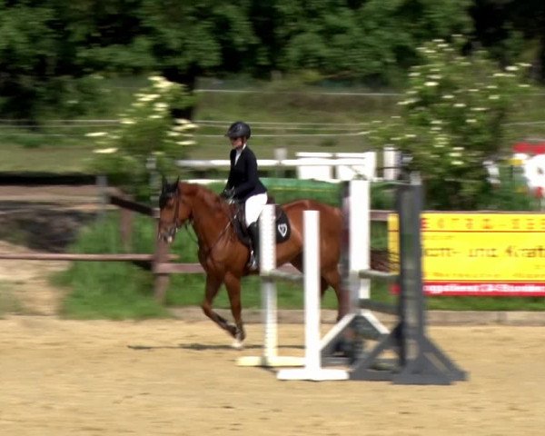 Reitturnier Schönfeld 2021