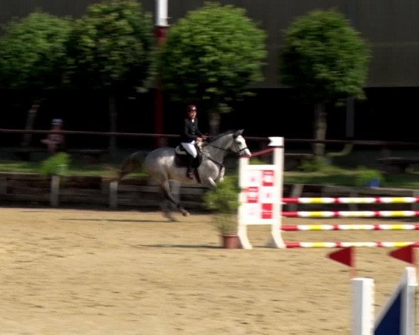 Reitturnier Schönfeld 2021