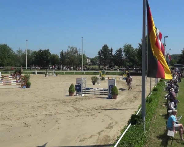 Reitturnier Bornheim-Widdig 2021