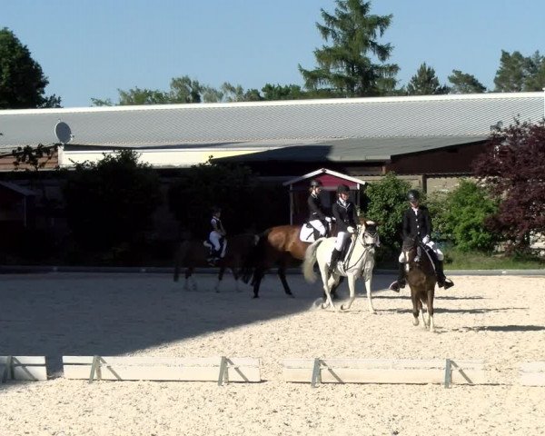 Reitturnier Nürnberg/Mfr. 2021