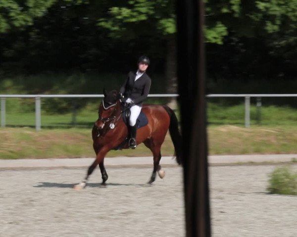Reitturnier Elmlohe 2021