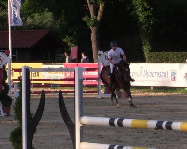 Reitturnier Münster-Handorf 2021