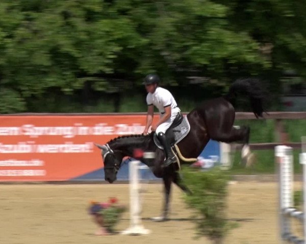 Reitturnier Schönfeld 2021