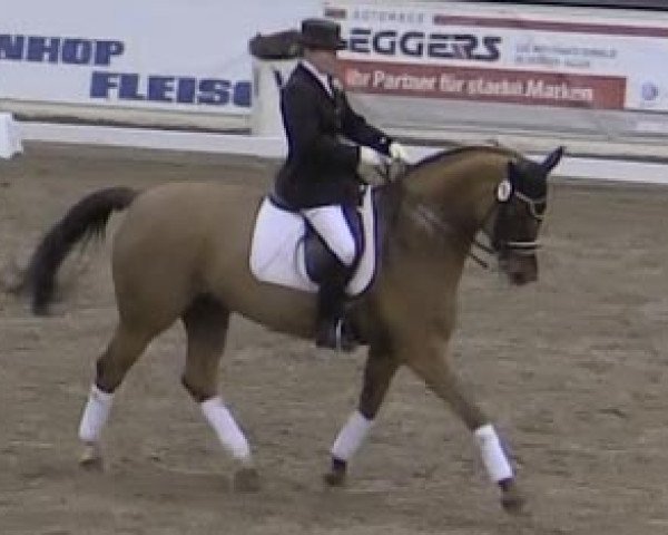dressage horse Fabriana (Hanoverian, 2002, from Fabriano)