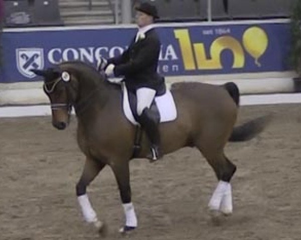dressage horse Rubianus 2 (Hanoverian, 1996, from Rubinstein I)