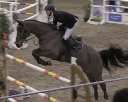 jumper Conveni's Caitano (Oldenburg show jumper, 2006, from Cellestial)