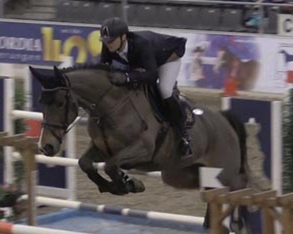 jumper Smart Forever (Holsteiner, 2005, from Ephebe For Ever)