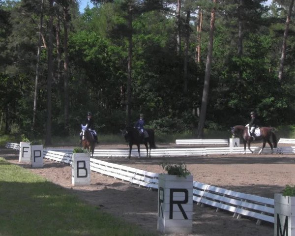 Reitturnier Wörmlitz 2021