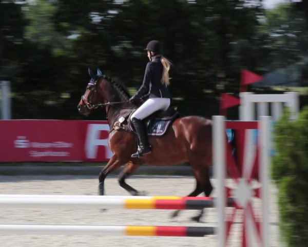 Reitturnier Elmlohe 2021