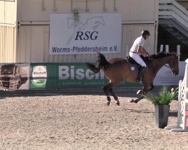 Reitturnier Worms-Pfeddersheim / Reitsportanlage Wittemer 2021
