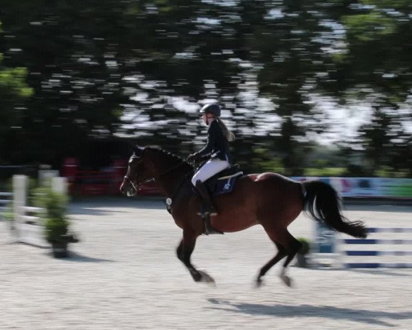 Reitturnier Elmlohe 2021
