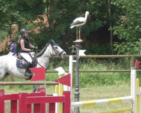 Reitturnier Lahr-Langenwinkel 2021