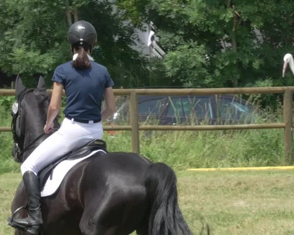 Reitturnier Lahr-Langenwinkel 2021