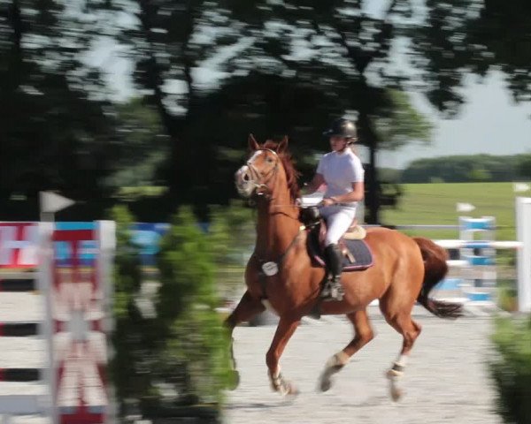 Reitturnier Elmlohe 2021