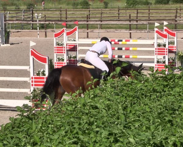 Reitturnier Worms-Pfeddersheim / Reitsportanlage Wittemer 2021