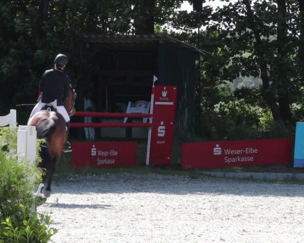 Reitturnier Elmlohe 2021