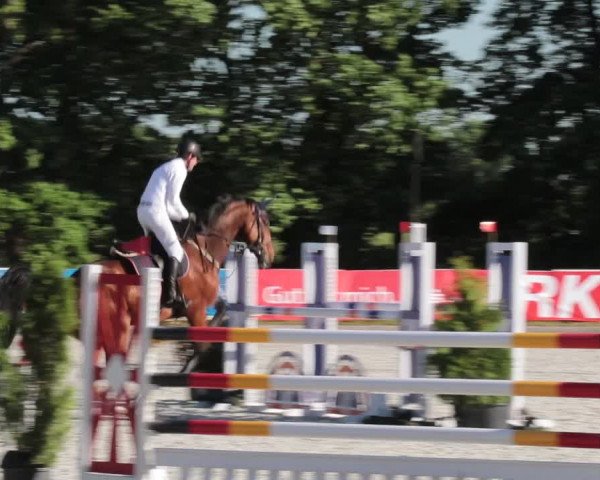 Reitturnier Elmlohe 2021