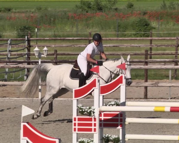 Reitturnier Worms-Pfeddersheim / Reitsportanlage Wittemer 2021