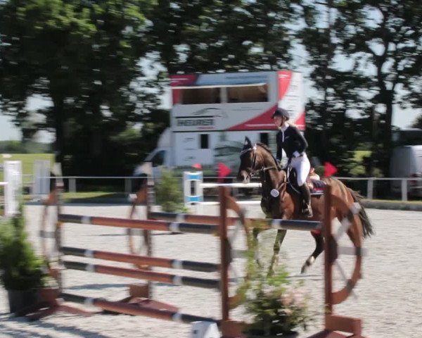Reitturnier Elmlohe 2021