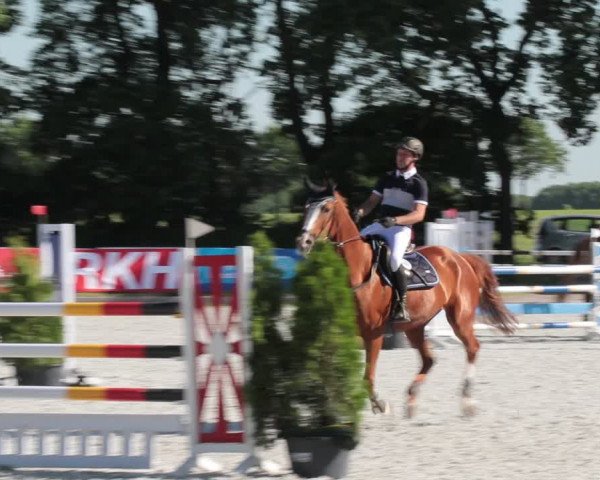 Reitturnier Elmlohe 2021