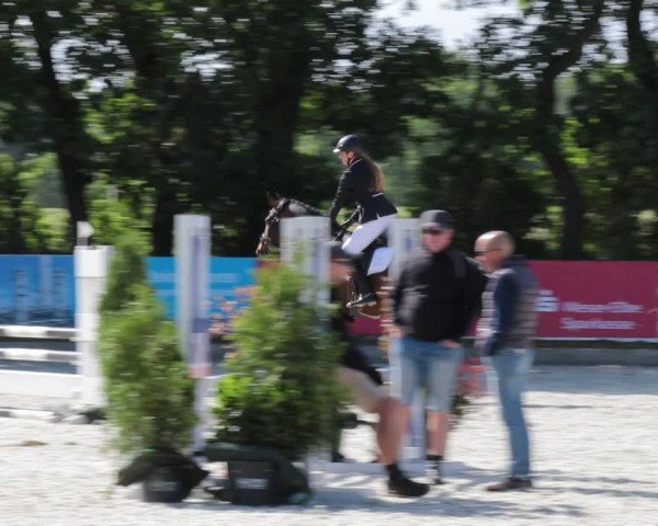 Reitturnier Elmlohe 2021