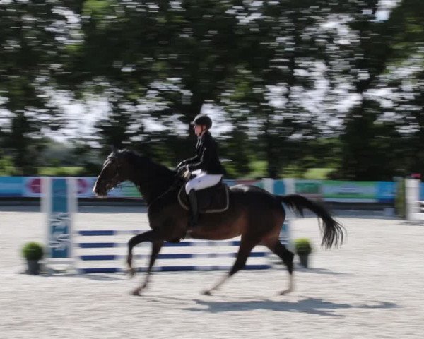Reitturnier Elmlohe 2021