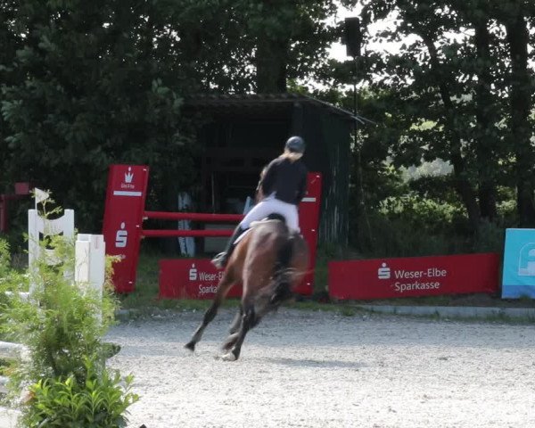 Reitturnier Elmlohe 2021
