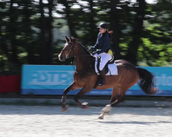 Reitturnier Elmlohe 2021