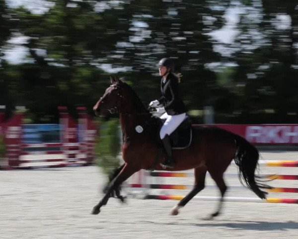 Reitturnier Elmlohe 2021