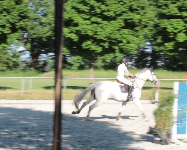 Reitturnier Elmlohe 2021