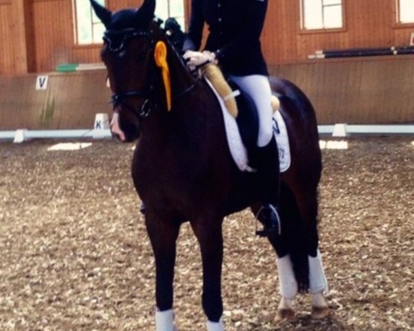 dressage horse Fiona la Douce (Hanoverian, 2009, from Fidertanz)