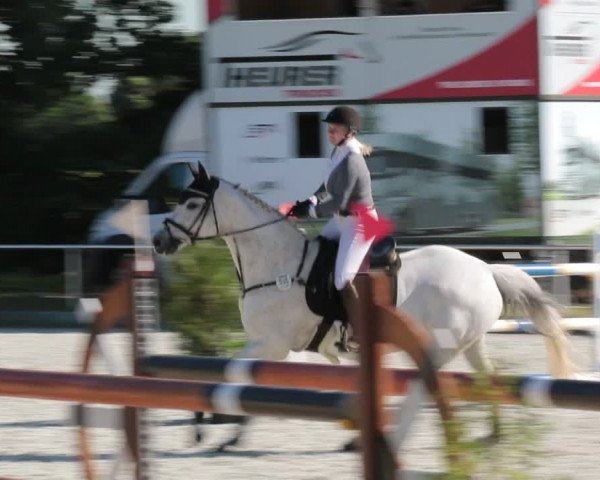 Reitturnier Elmlohe 2021