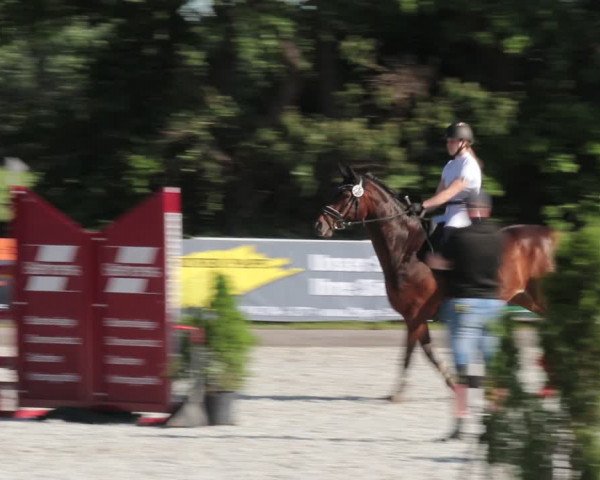 Reitturnier Elmlohe 2021