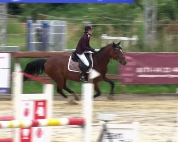 Reitturnier Schönfeld 2021