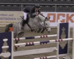 Springpferd C'est la vie 145 (Oldenburger, 2008, von Check In 2)