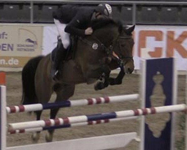 broodmare Loisan (Hanoverian, 2007, from Ludwigs As)