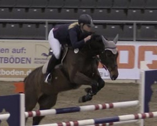 Springpferd Antoinette 86 (Hannoveraner, 2003, von As di Villagana)