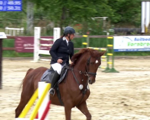Reitturnier Schönfeld 2021
