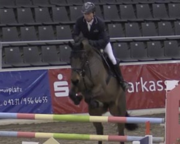 broodmare Alina 440 (Holsteiner, 2008, from Nekton)