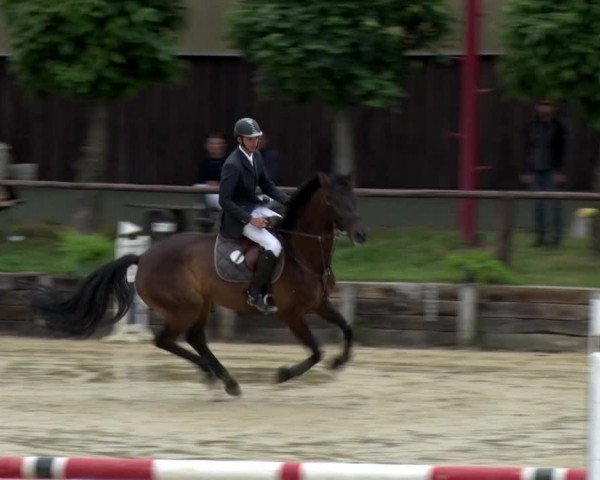 Reitturnier Schönfeld 2021