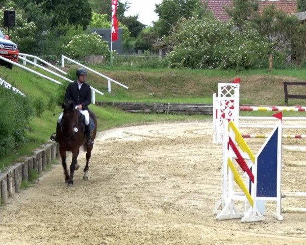 Reitturnier Schönfeld 2021