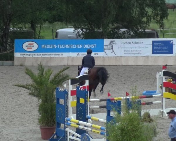 Reitturnier Monheim - Gut Blee 2021