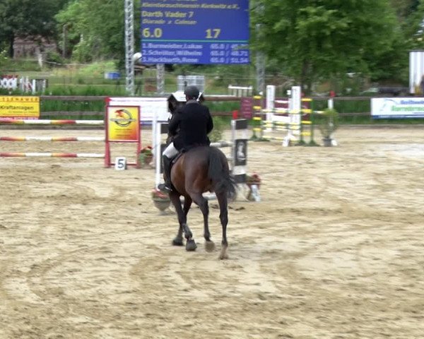 Reitturnier Schönfeld 2021