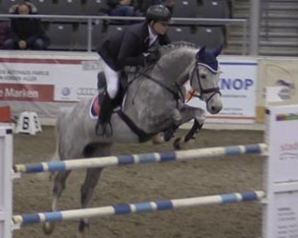 Springpferd La Cross (Holsteiner, 2005, von Ladas)
