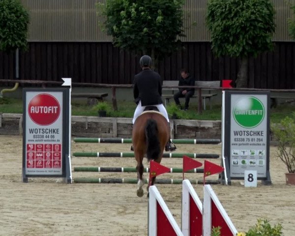 Reitturnier Schönfeld 2021